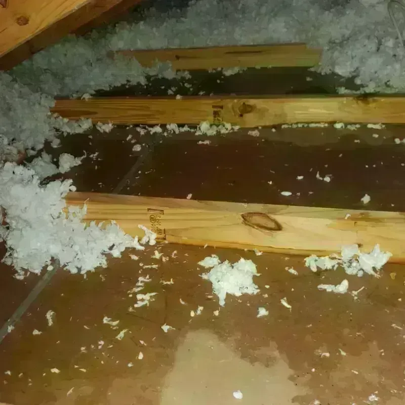 Attic Water Damage in Washington, CT